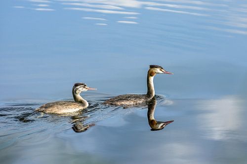 Futen von Marjon van den Broek