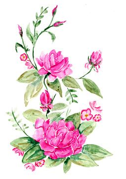 Roze aquarel rozen van Sebastian Grafmann