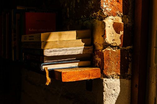 Boeken in zonlicht – bakstenen muur & houten plank | rustieke bibliotheek‑kunst