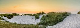 Ostsee Dünen Panorama von Ursula Reins