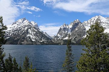 Welcome in Grand Teton National Park sur Lisa Poelstra