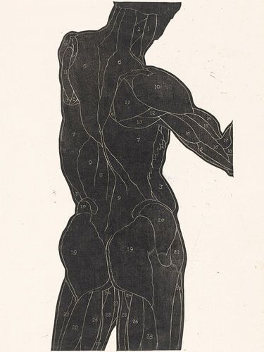 Portrait d'un homme nu