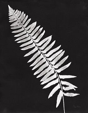Nature by the Lake Ferns IV Black Crop, Piper Rhue