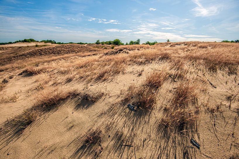 Unberührte Dünenspitze mit verdorrtem Gras im Gegenlicht von Ruud Morijn