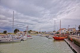 Îl de Ré, France (II) by Anneke Hooijer