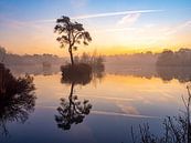 Sonnenaufgang in den Oisterwijkse Vennen von Evelien Oerlemans Miniaturansicht