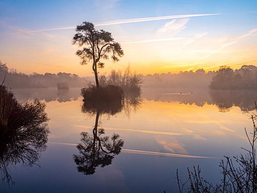 Lever du soleil dans les Oisterwijkse Vennen sur Evelien Oerlemans