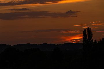 warm sunset with beautiful rays and a lovely red and yellow glow during silhouette landscape by Kim Willems