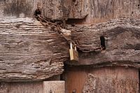 A dilapidated door, locked with a rusty chain and a new padlock.