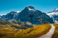 Firstbahn auf dem Gipfel von Grindelwald First von Steven Van Aerschot Miniaturansicht