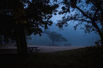 Sombre Moody Foggy sur Zwoele Plaatjes