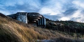 Bunker in het duingebied van Meijendel van MICHEL WETTSTEIN