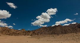 India, Ladakh by Arjan Benders