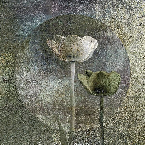Tulpen. Silber und grün. von Alie Ekkelenkamp