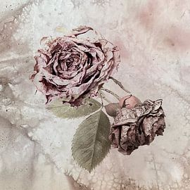 Fading Rose by A perfect day studio
