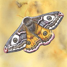 Nachteule von Jasper de Ruiter