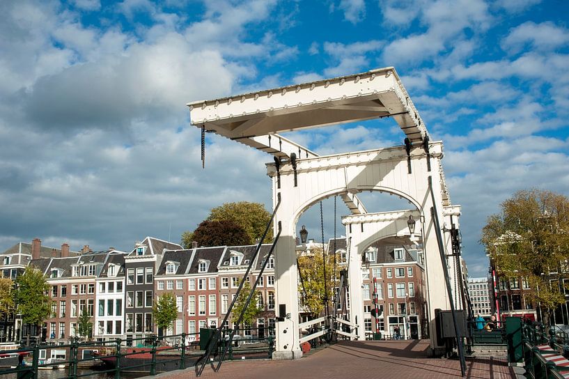Skinny Bridge Amsterdam by Richard Wareham
