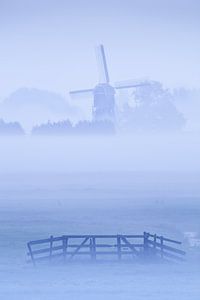 Misty Morning Blues
