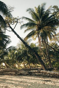 landschap Costa Rica, Santa Teresa van Mambry Wakum