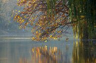 BERLIN Lietzensee - autumn reflection by Bernd Hoyen thumbnail