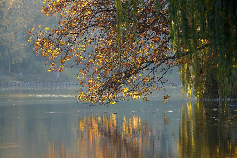BERLIN Lietzensee - autumn reflection by Bernd Hoyen