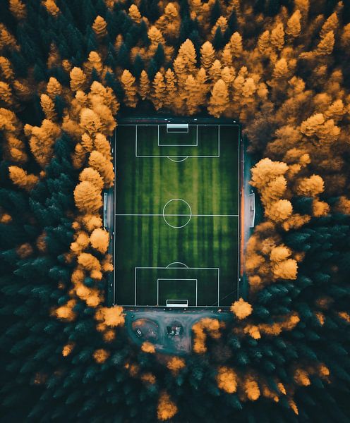 Sportveld vanuit de lucht van fernlichtsicht