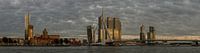 Skyline Rotterdam van Hans Kool thumbnail