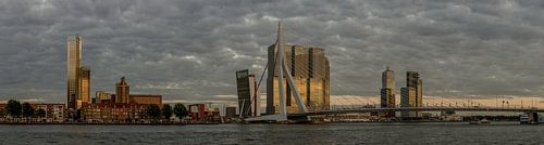 Skyline Rotterdam