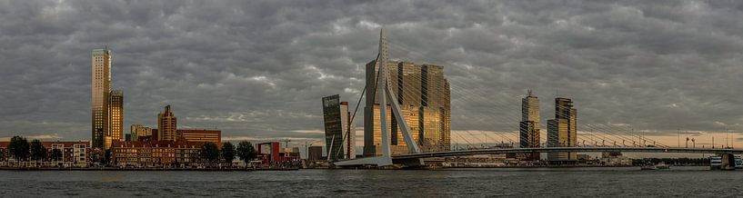 Skyline Rotterdam van Hans Kool