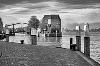 Dordrecht