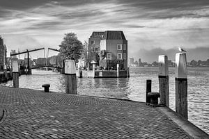 Dordrecht sur Han van der Staaij