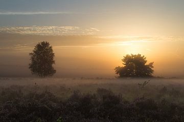 Zonsopgang boven de Heide van Peter Hooijmeijer