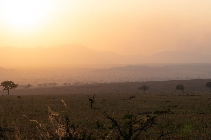 Flames on the horizon - Kidepo's evening light by Rick Massar