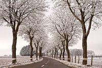Mooi winterse landschap