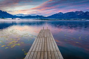 Morgen am Hopfensee von Martin Wasilewski