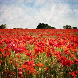 Zomer in rood van Dieter König