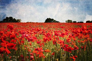 Zomer in rood van Dieter König