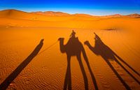Camel ride in Marokko van Rietje Bulthuis thumbnail