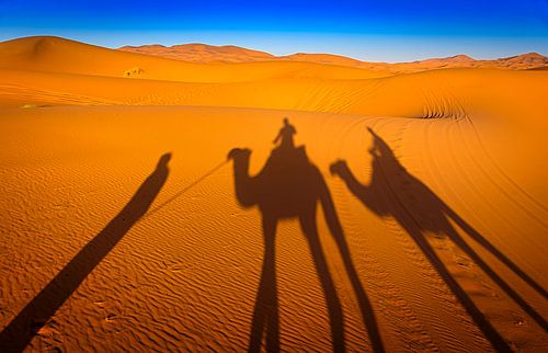 Camel ride in Marokko