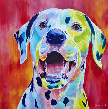 Bruno | Colourful Dalmatian Portrait
