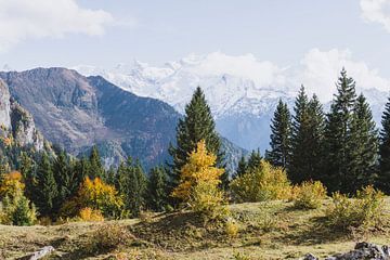 Berglandschap met almwei en bomen in herfstkleuren | Landschapsfotografie - Chamonix, Frankrijk van Merlijn Arina Photography