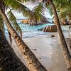 Anse Patates auf La Digue (Seychellen) von t.ART