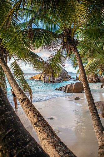 Anse Patates on La Digue (Seychelles)