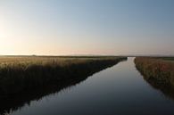 Landschap van Sander Maas thumbnail