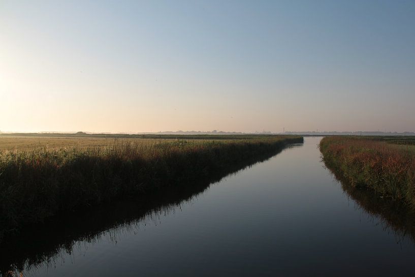 Landschap van Sander Maas