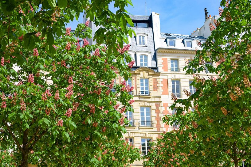 Paris in Blüte von Ingrid de Vos - Boom