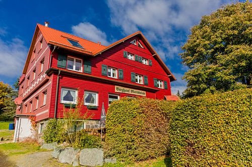 Herfstwandeling door het Thüringer Woud