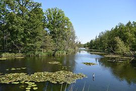 View of nature by Jarno De Smedt