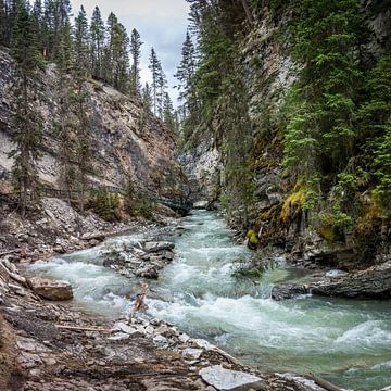 Snel stromend water in Johnston Canyon, Canada