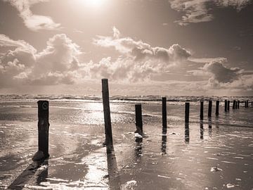 Stokken op het strand